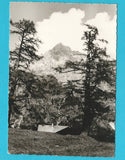 AK Bachlalm mit Torstein.