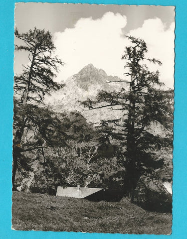 AK Bachlalm mit Torstein.
