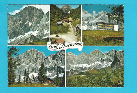 AK Gruß vom Dachstein.
