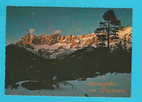 AK Alpengühen am Dachstein.