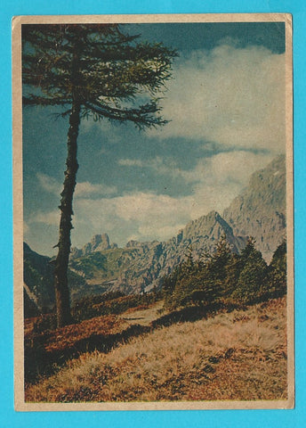AK Ramsau bei Schladming. Dachsteingruppe.