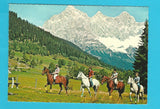 AK Reitsport am Dachstein. Filzmoos - Hachau - Ramsau.