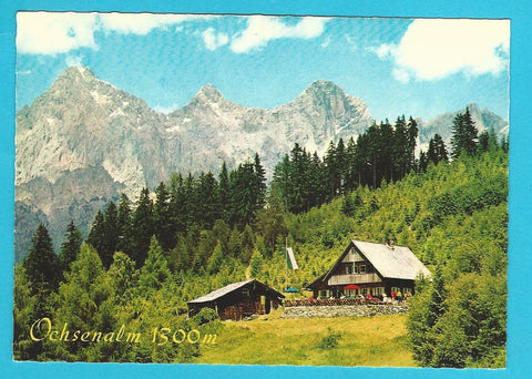 AK Ochsenalm. Ramsau am Dachstein.