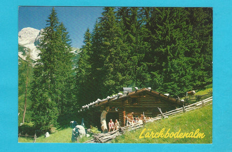 AK Ramsau am Dachstein. Lärchbodenalm. Fam. Gerharter, Simonbauer.