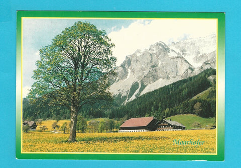 AK Ramsau am Dachstein. Fam. Fischbacher vlg. Mayerhofer 64.