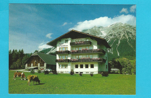 AK Ramsau/Dachstein. Haus Möslehner. J. Landl.