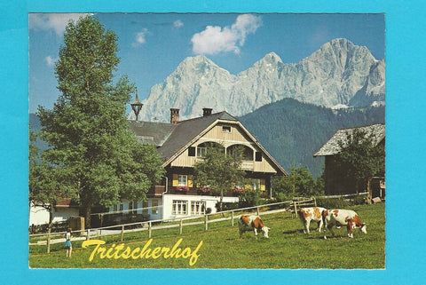 AK Ramsau am Dachstein. Tritscherhof. Bes. Fam. Bachler.