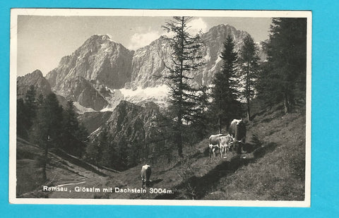 AK Ramsau. Glösalm mit Dachstein.