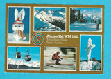 AK Alpine Ski-Weltmeisterschaften 1982 Schladming/Haus.