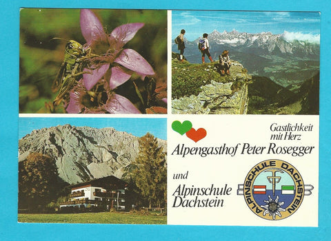 AK Ramsau 233. Alpengasthof Peter Rosegger mit Alpinschule Dachstein.