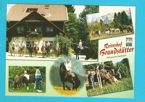 AK Ramsau am Dachstein 43. Reiterhof Brandstätter.