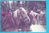 Foto Ramsau (1984)