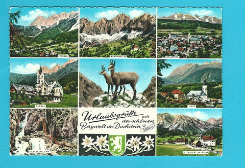 AK Urlaubsgrüße aus der schönen Bergwelt des Dachstein's.