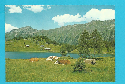 AK Duisitzkarhütte am Duisitzkarsee.