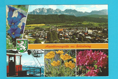 AK Alpenblumengrüße aus Schladming.