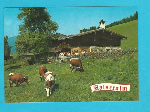 AK Jausenstation Halseralm. Ramsau-Pichl-Mandling.