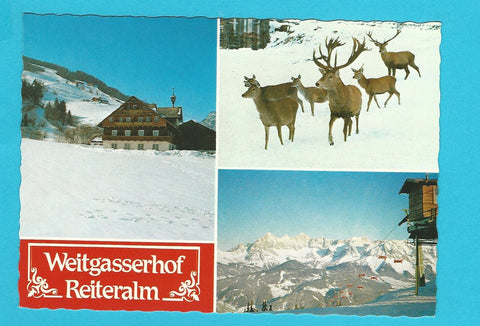AK Reiteralm. Weitgasserhof. Fam. Gerhardter.