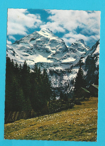 AK Der Höchstein mit Krokuswiesen bei Haus im Ennstale.