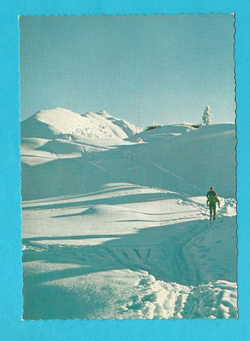 AK Blick gegen Hauser Kaibling von der Krummholzhütte.