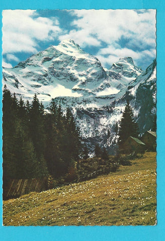 AK Der Höchstein mit Krokuswiesen.