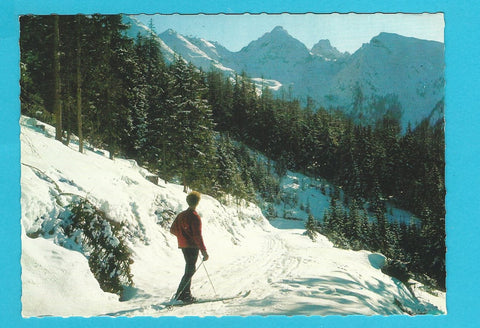 AK Alpengasthof Schwaigerhof. Haus. Petersberg 19.