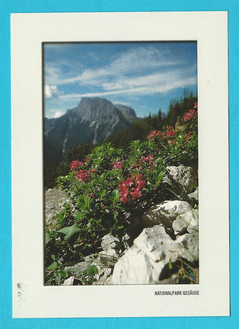AK Nationalpark Gesäuse.
