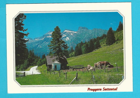 AK Pruggern. Sattental.