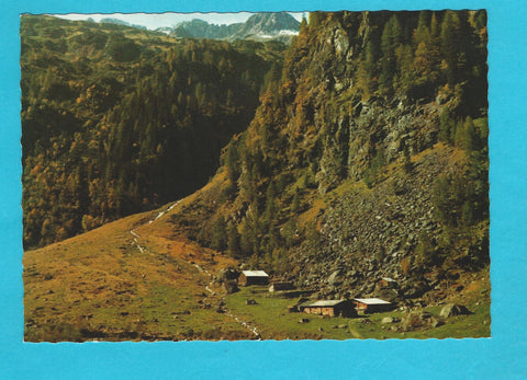 AK Putzental-Alm. Kleinsölk. Stein/Enns.