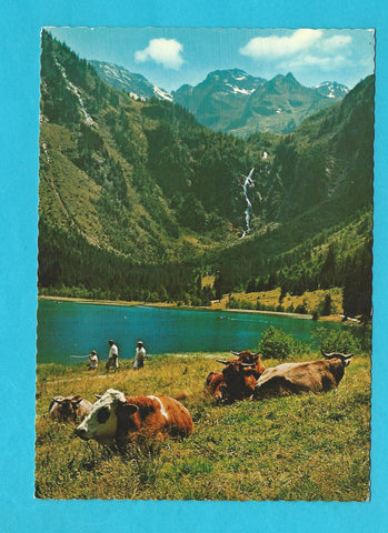 AK Der malerische Bodensee. Aich-Assach.