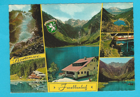AK Bodensee. Forellenhof. Aich-Assach.