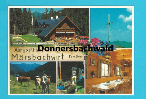 AK Donnersbachwald. Mörsbachhütte. Fam. Dürr.