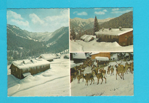AK Donnersbachwald. Mörsbachhütte.