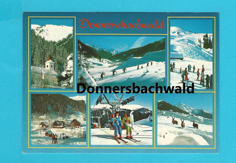 AK Donnersbachwald.
