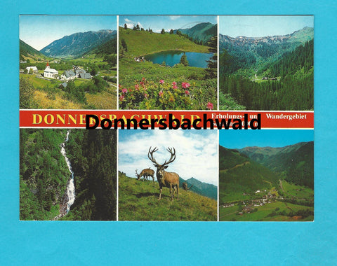 AK Donnersbachwald.