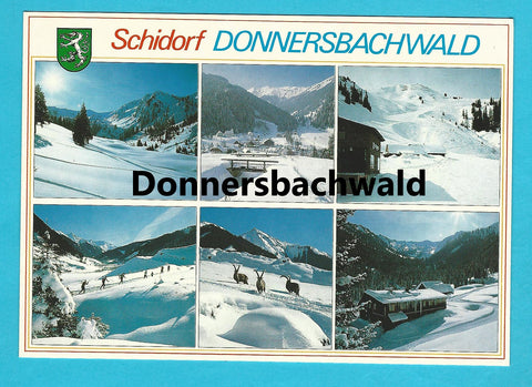 AK Donnersbachwald.