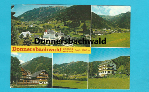 AK Donnersbachwald.
