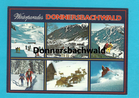 AK Donnersbachwald.