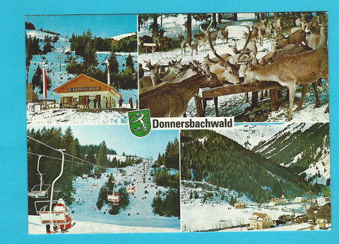 AK Donnersbachwald.