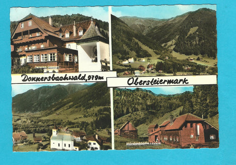 AK Donnersbachwald.