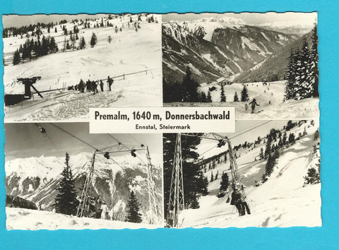 AK Donnersbachwald. Premalm.