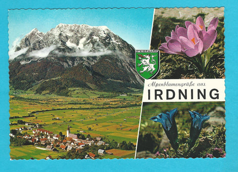 AK Alpenblumengrüße aus Irdning.