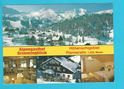 AK Planneralm. Alpengasthof Grimmingblick.