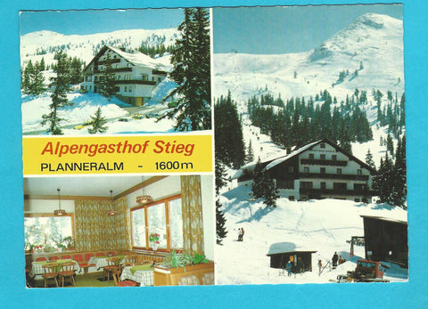AK Planneralm. Alpengasthof Stieg.