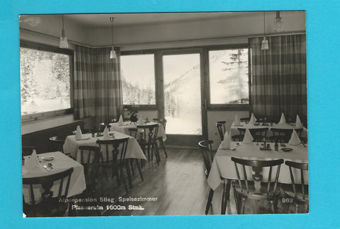 AK Planneralm. Alpenpension Stieg.