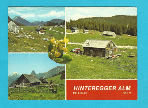 AK Hinteregger Alm bei Liezen.
