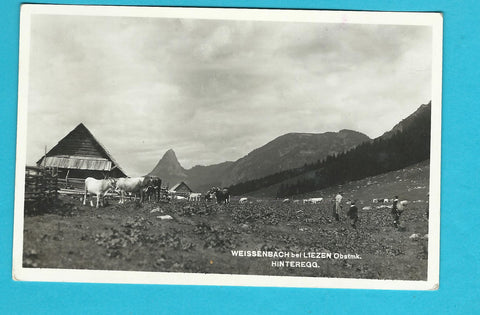 AK Weissenbach bei Liezen. Hinteregg.
