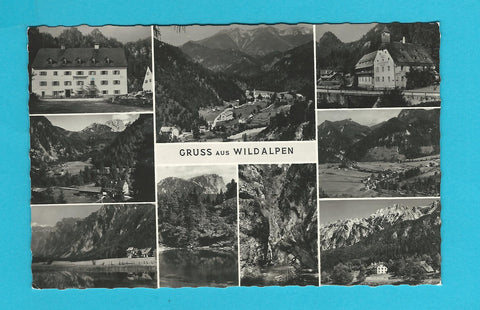 AK Gruss aus Wildalpen (1961)