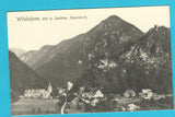AK Wildalpen. (1918)