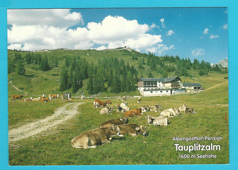 AK Tauplitzalm. Alpengasthof Hierzegger.