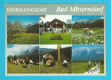 AK Bad Mitterndorf.